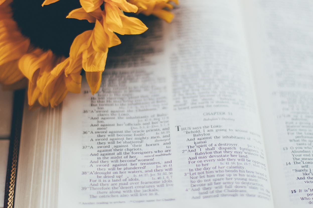 Yellow flower on a Bible opened for a daily devotional.