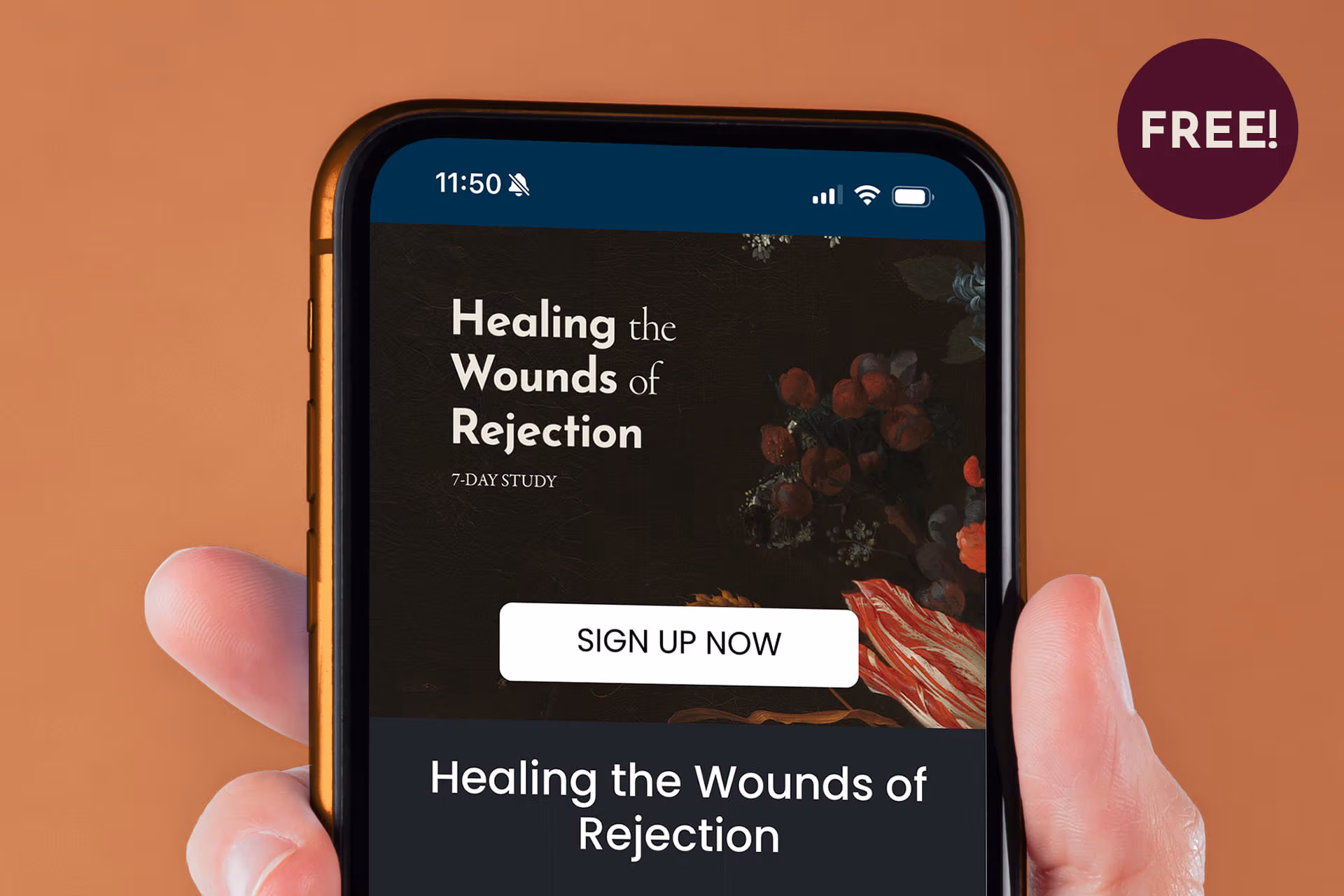 Healing the Wounds of Rejection