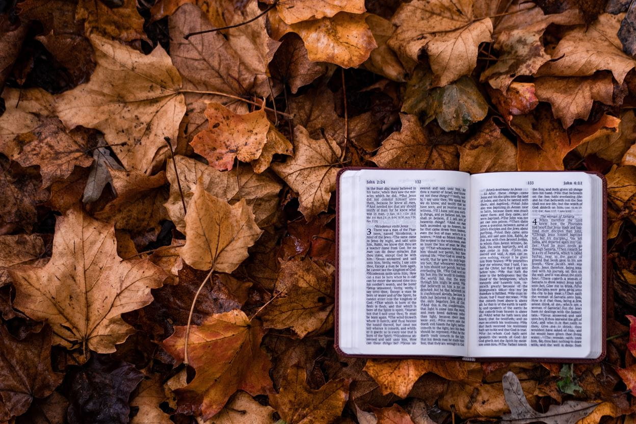 Just Pray the Word