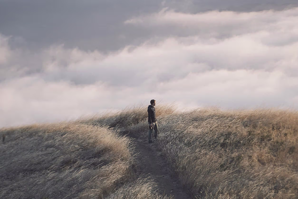 A person out in a wheat field
