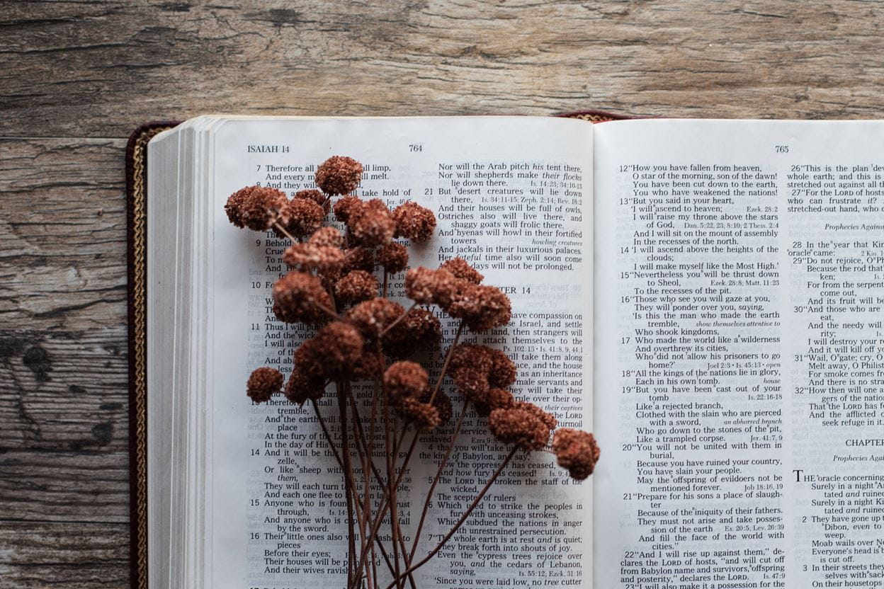 Dried flowers sitting on an open Bible ready for reading a daily devotional.