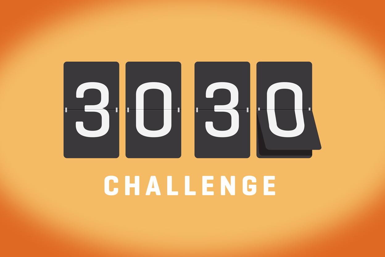 3030 Challenge