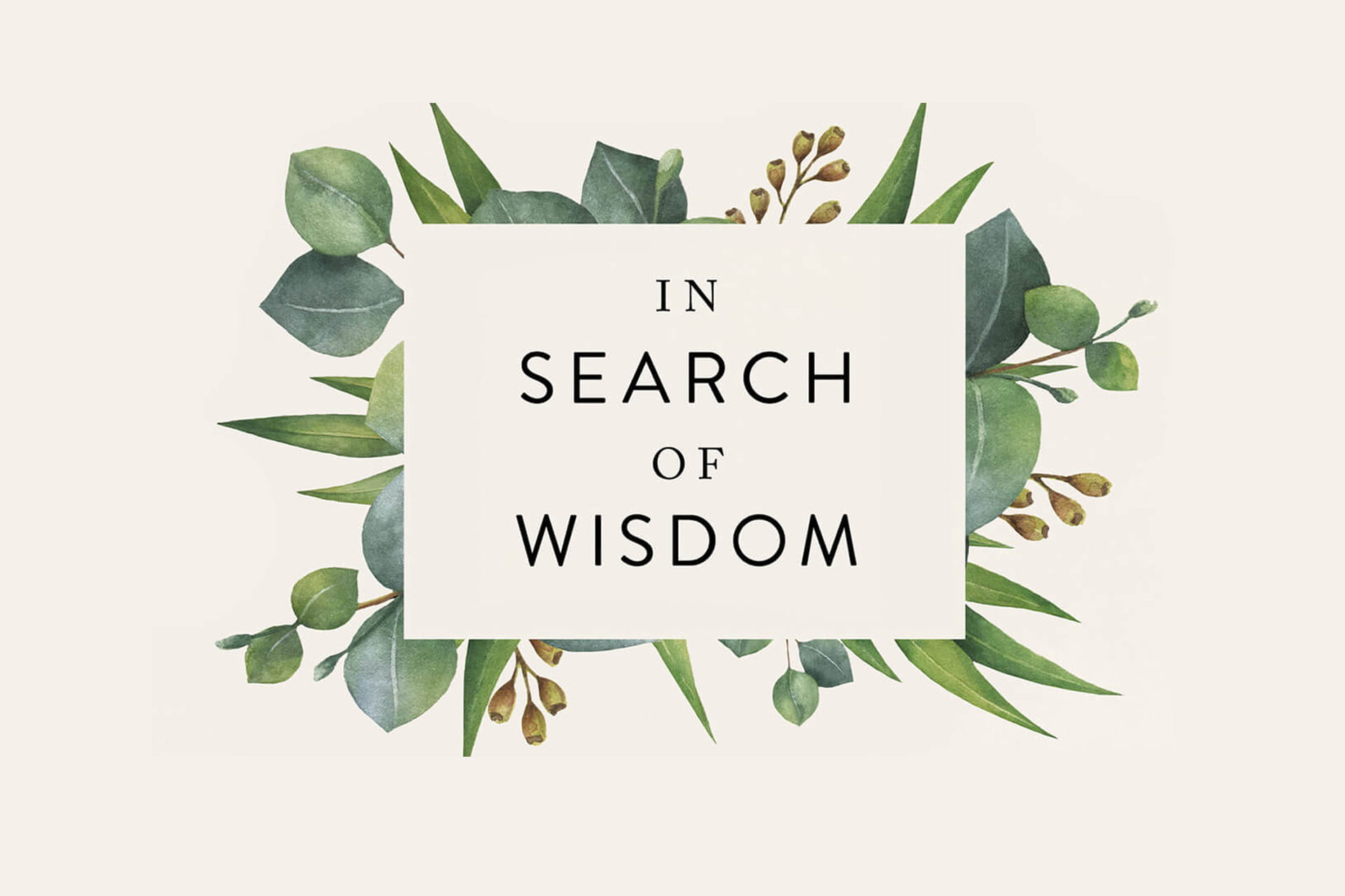 In Search Of Wisdom: Free 7-Day Bible Study with Joyce Meyer