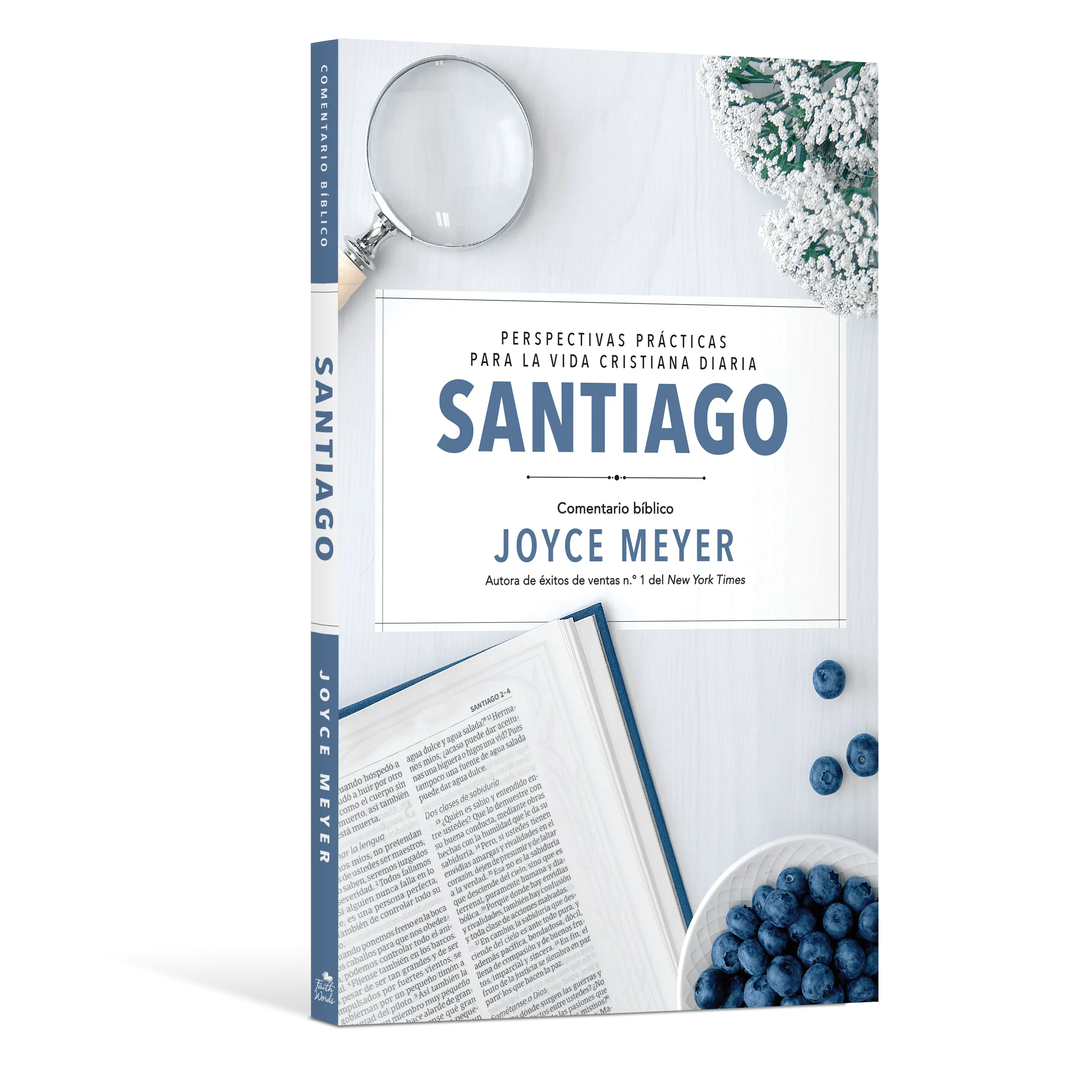 Santiago: Comentario Biblico