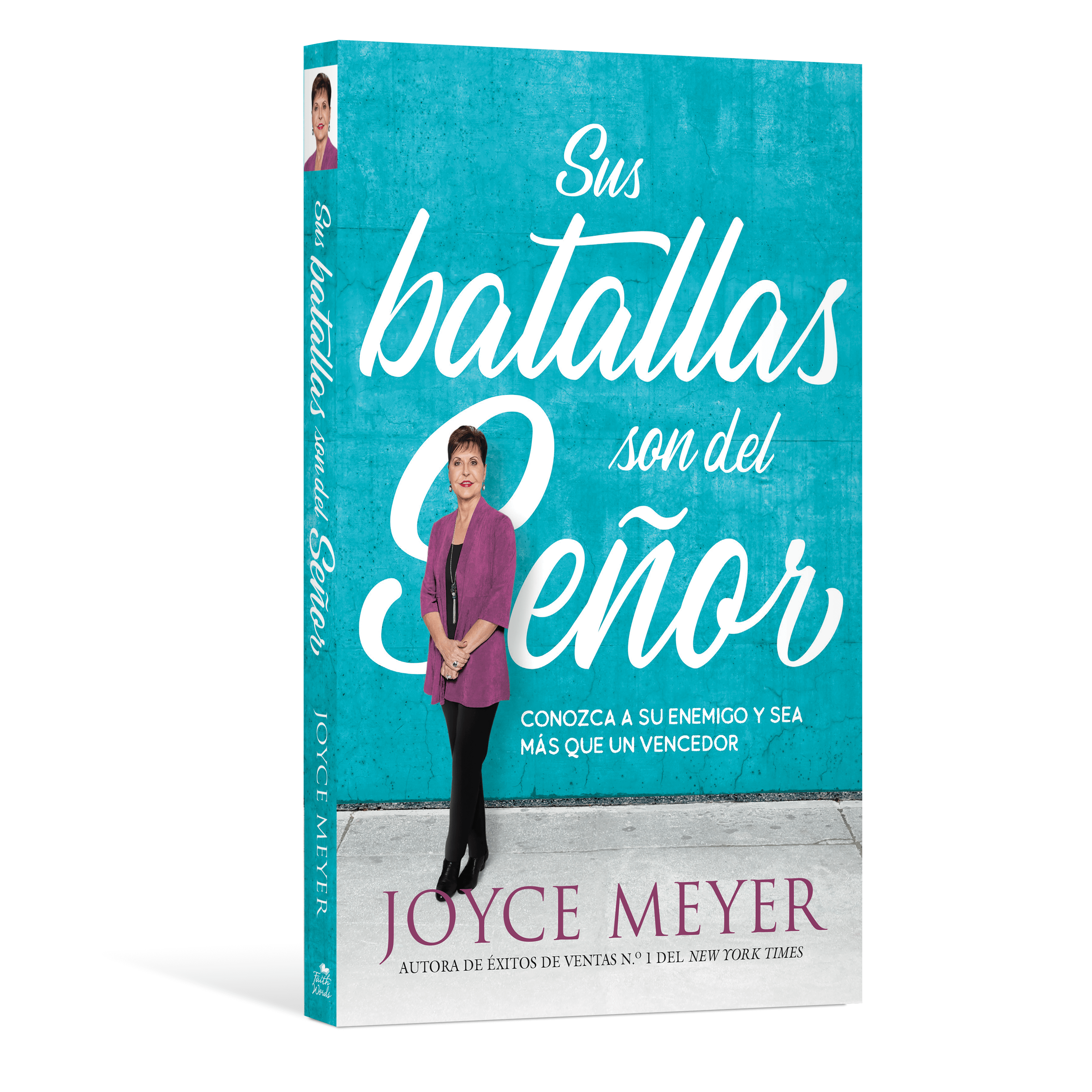 Sus batallas son del Señor