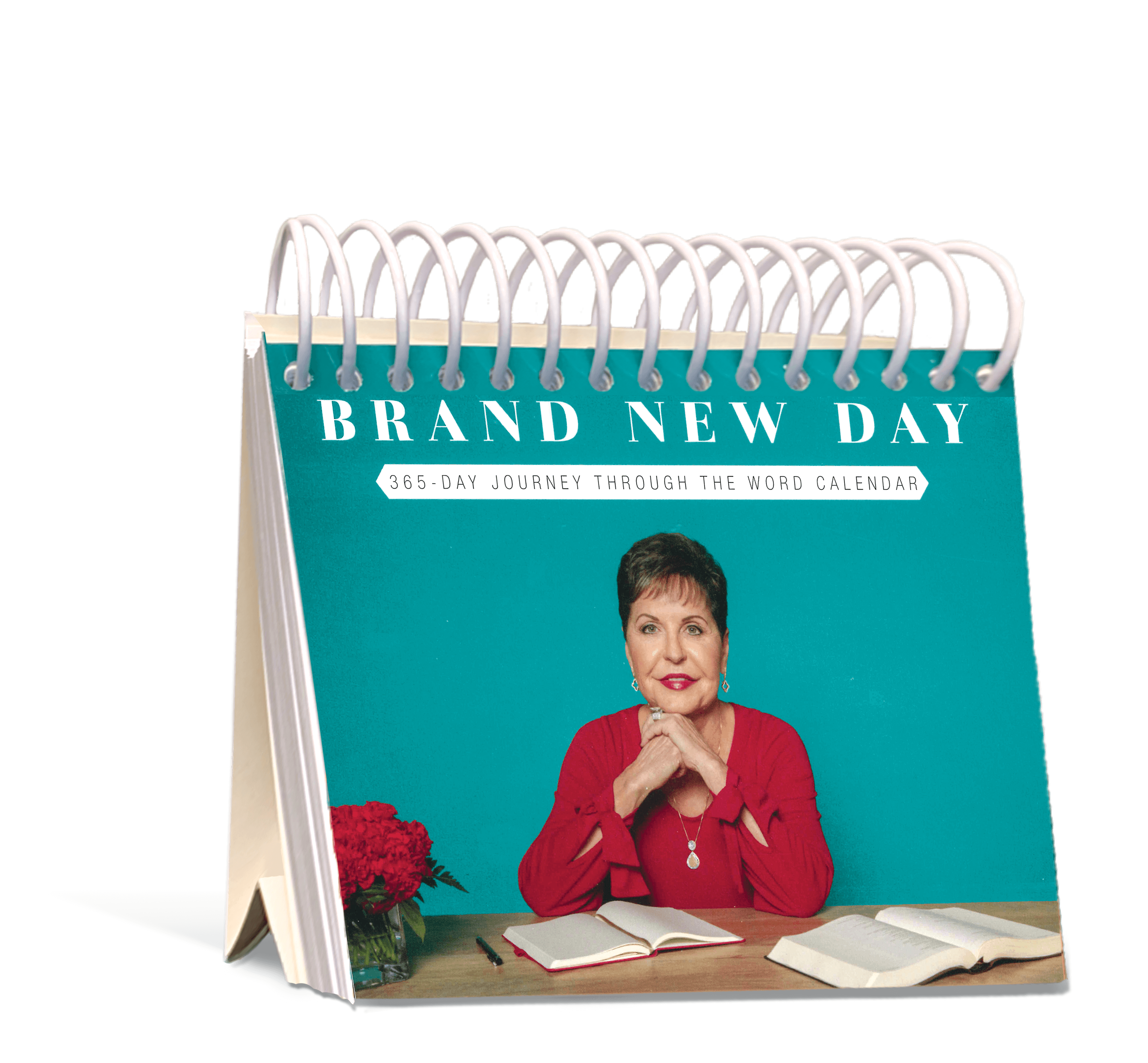 Brand New Day: 365-Day Journey Through the Word Calendar