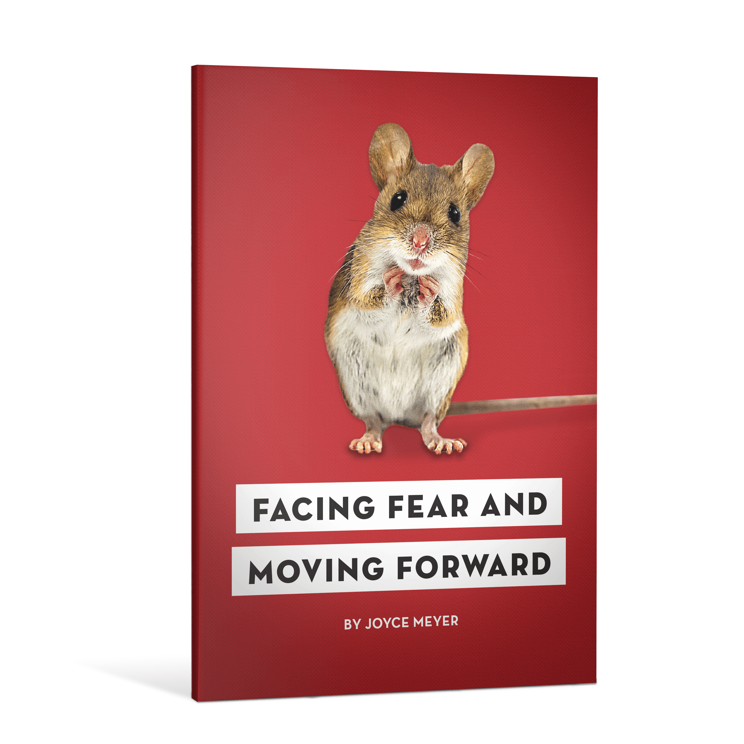 Facing Fear and Moving Forward - Paperback