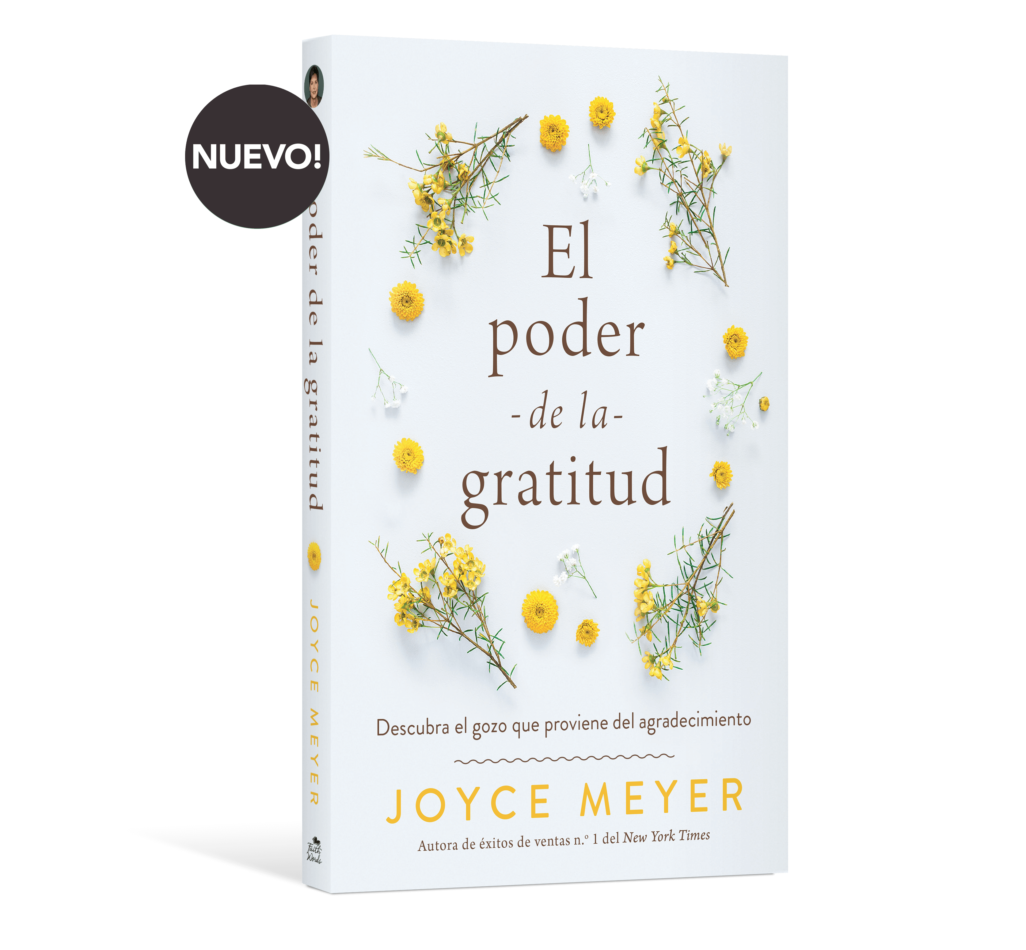 El poder de la gratitude