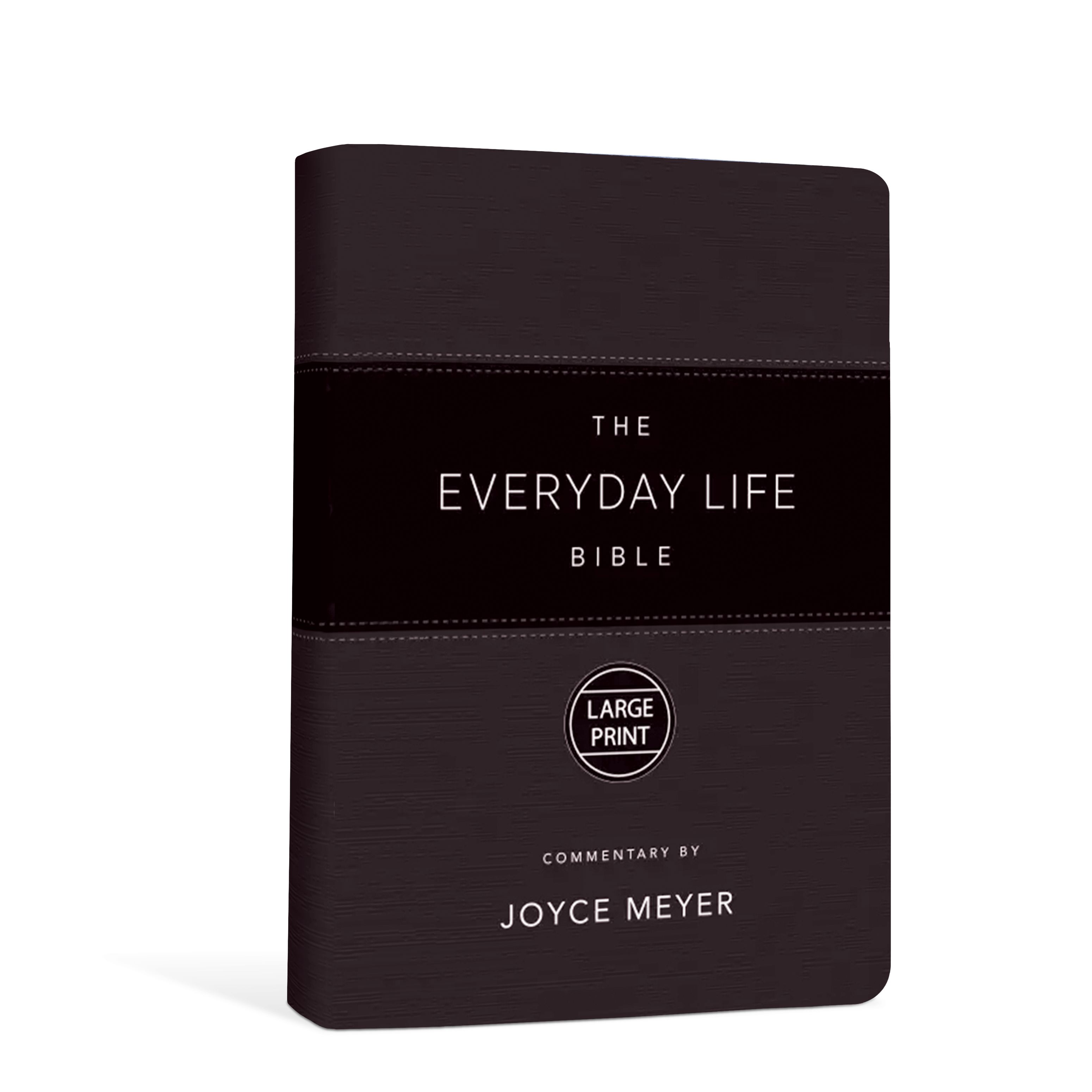 The Everyday Life Bible – Black, Large Print