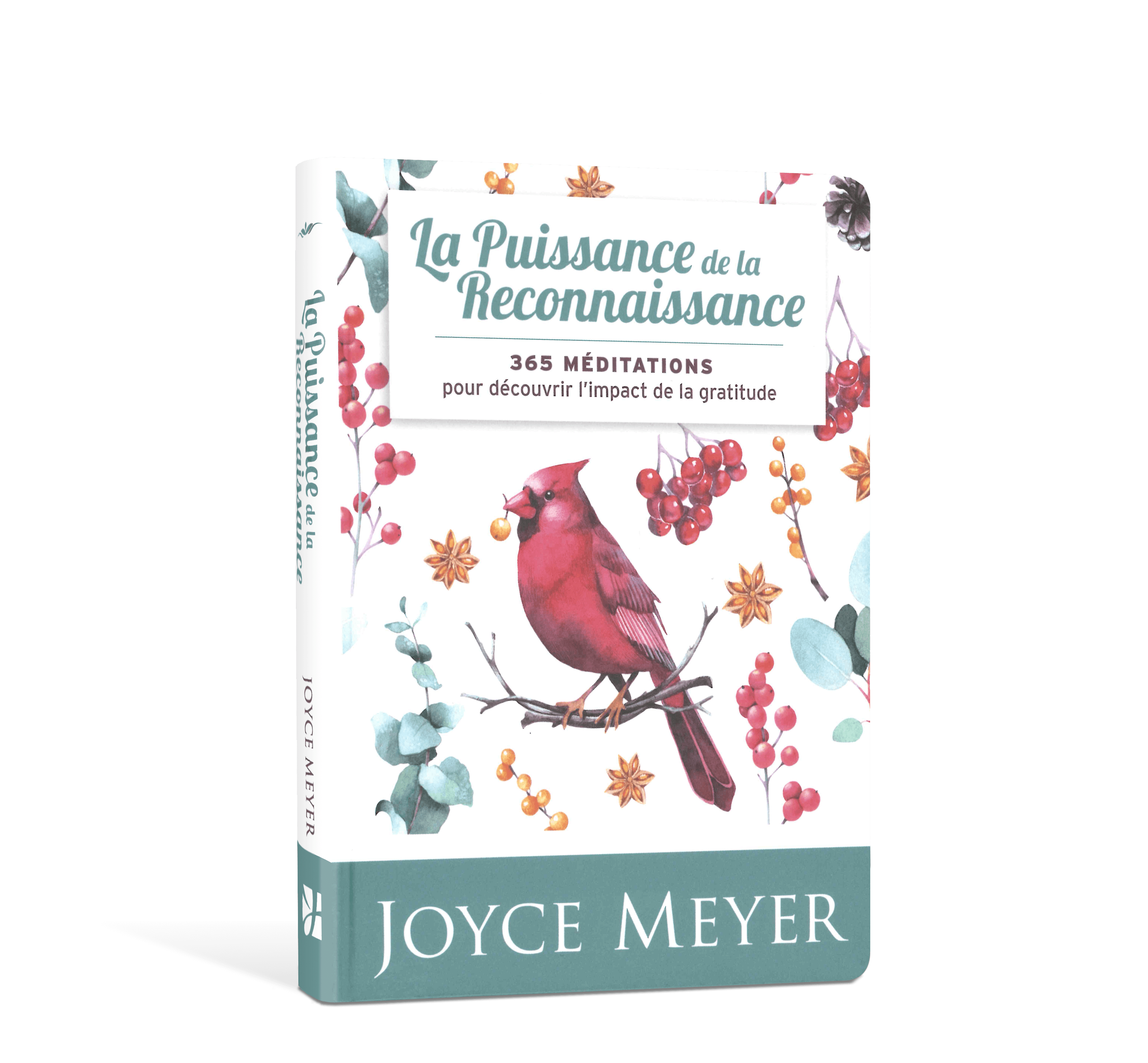 La puissance de la reconnaissance