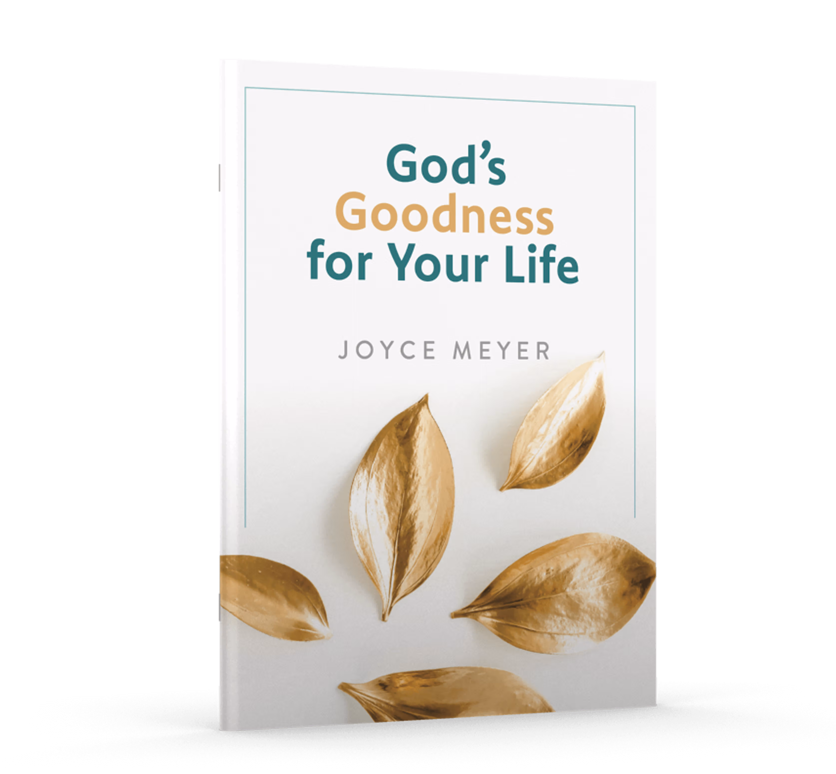 God’s Goodness for Your Life