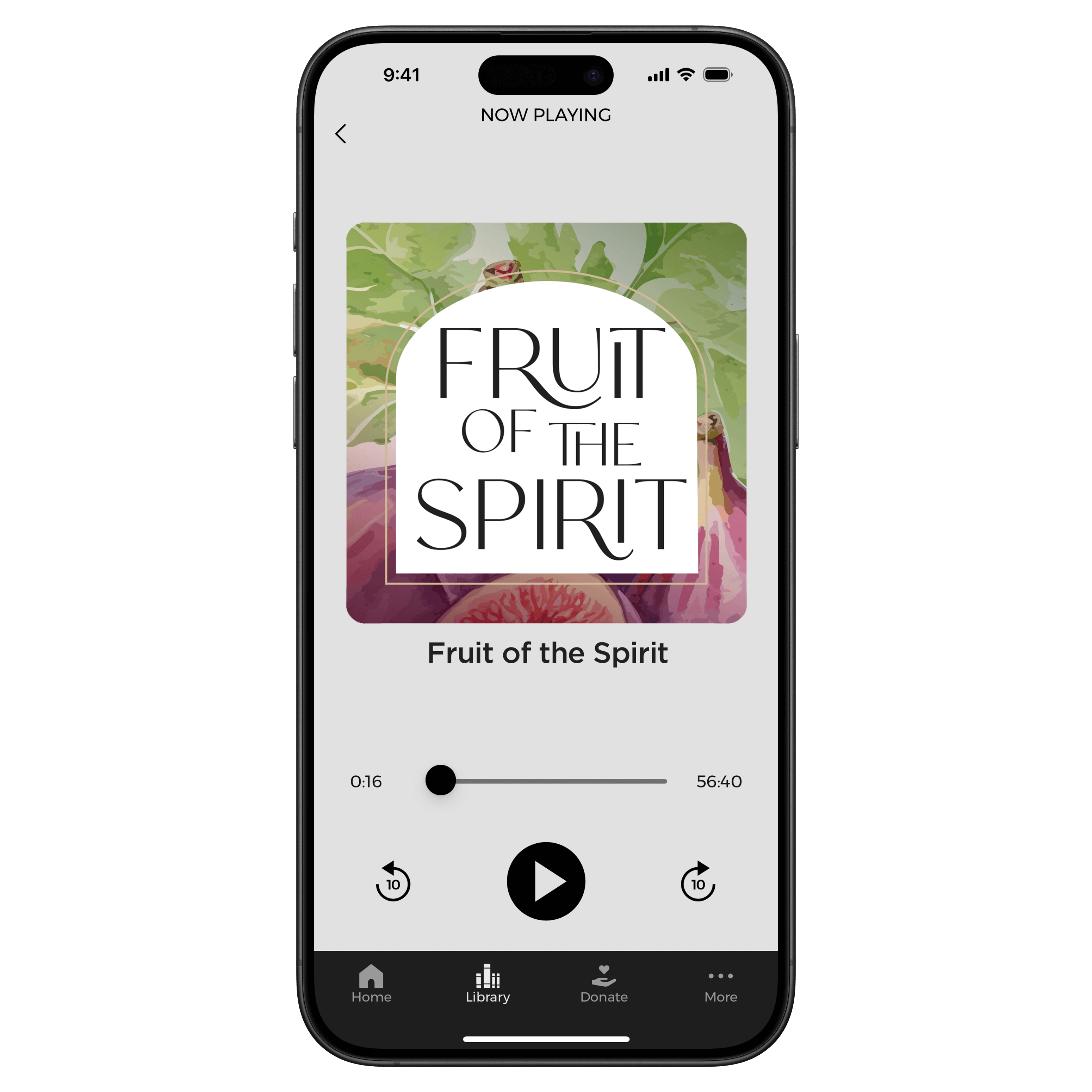 Fruit of the Spirit – Signature Series – Digital Audio Teaching