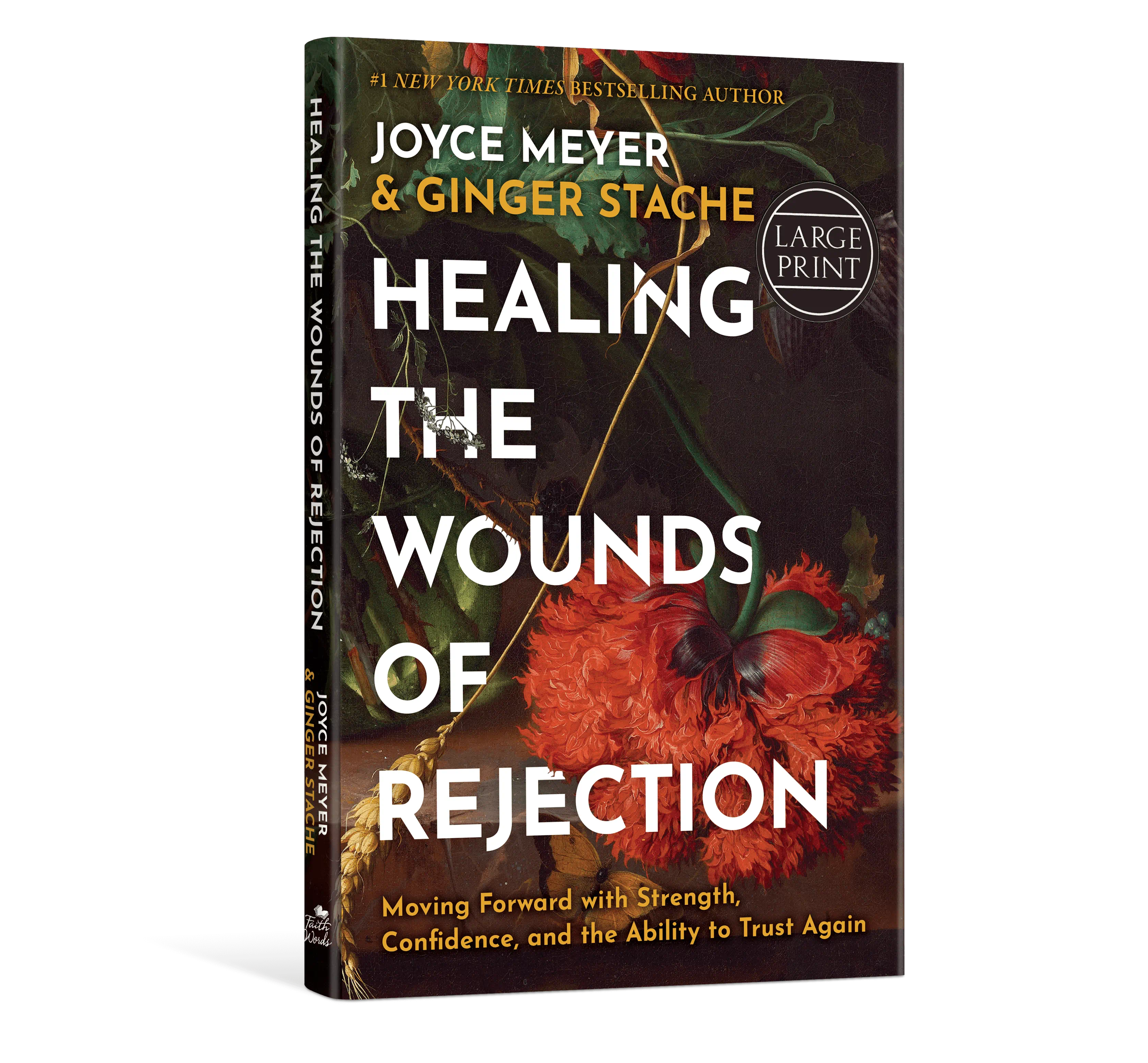 Healing the Wounds of Rejection – Large Print