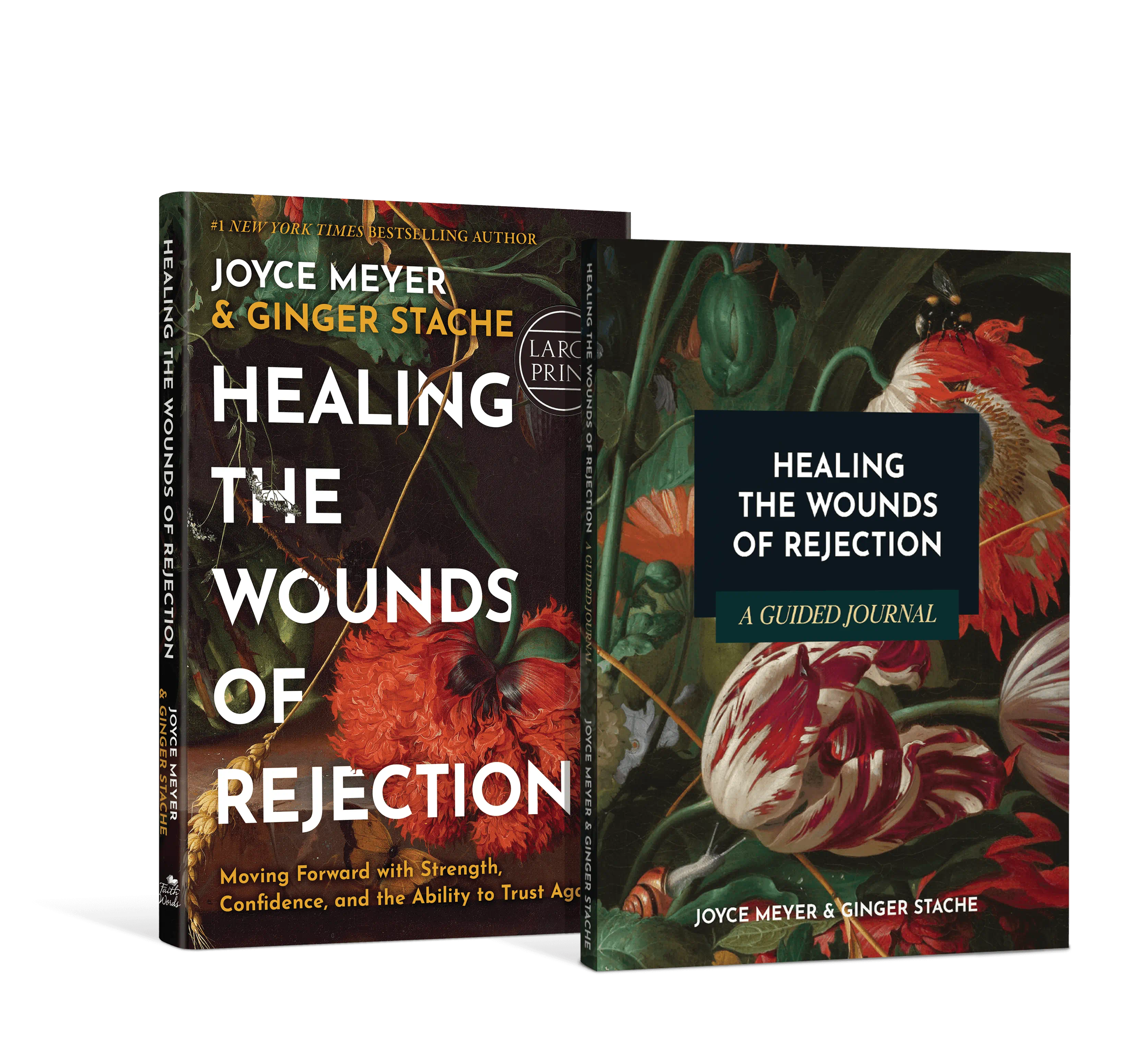 Healing the Wounds of Rejection Package – Large Print