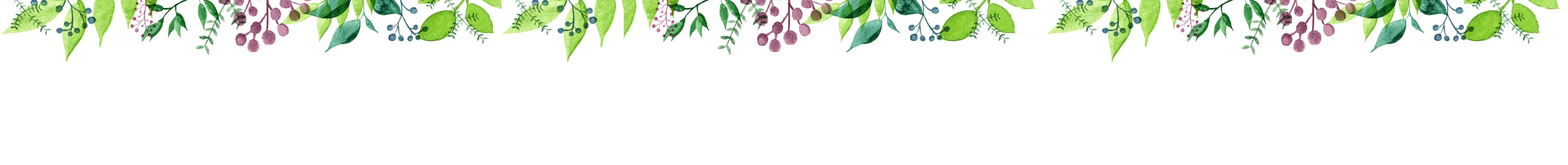 white background with floral illustrations
