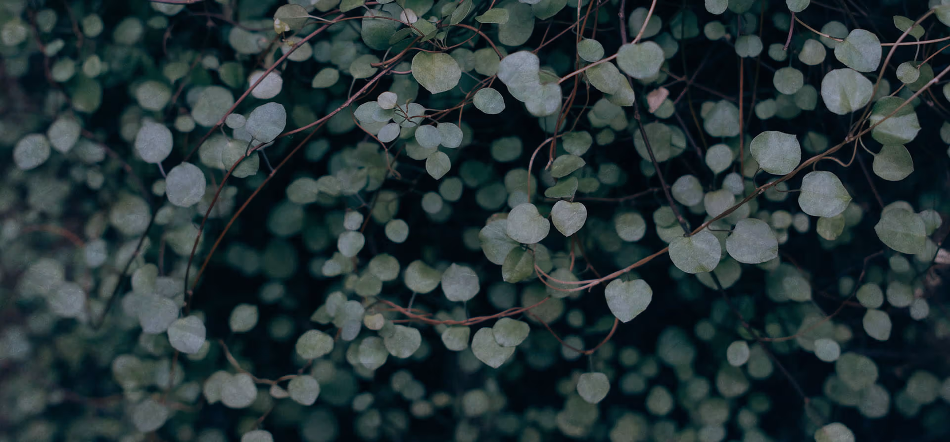 7 Steps to Unlocking  Success God’s Way