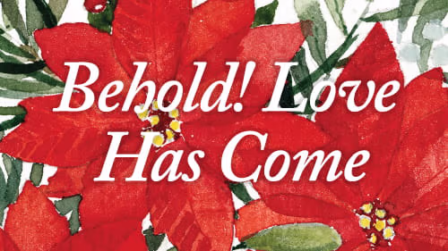 Come and Behold Him bible study
