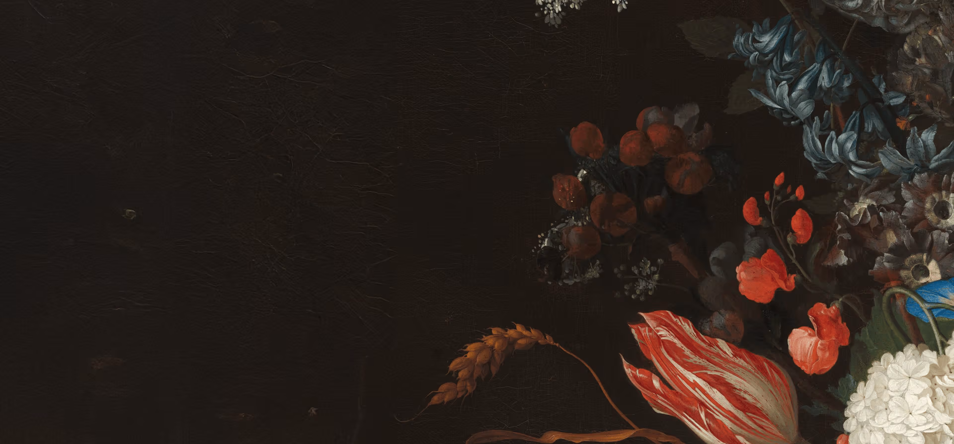 Healing the Wounds Of Rejection