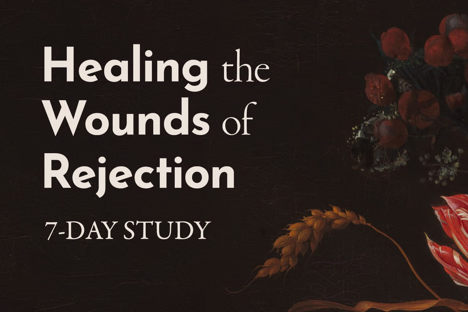 Healing the Wounds of Rejection 7-day study