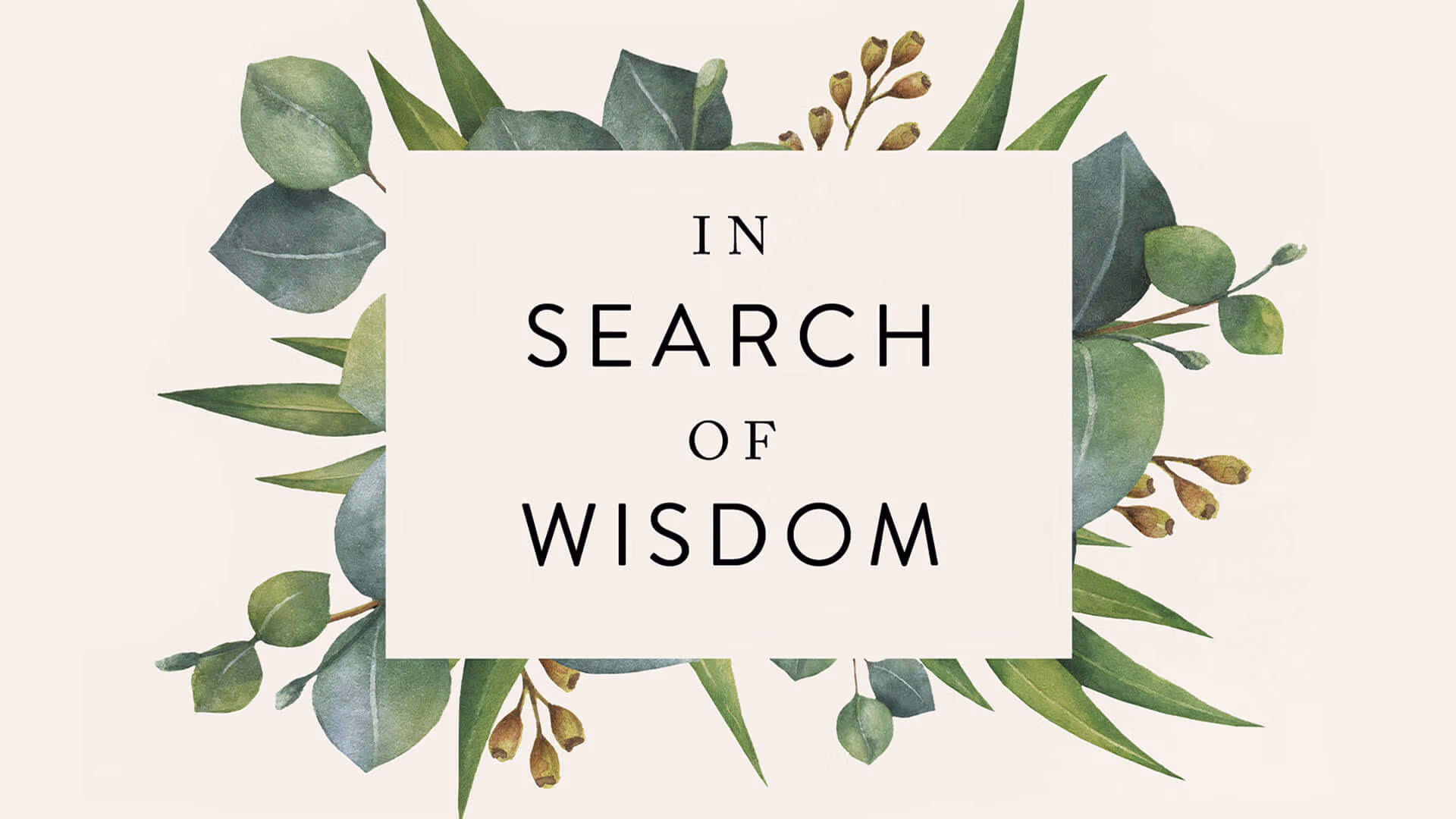 In Search of Wisdom