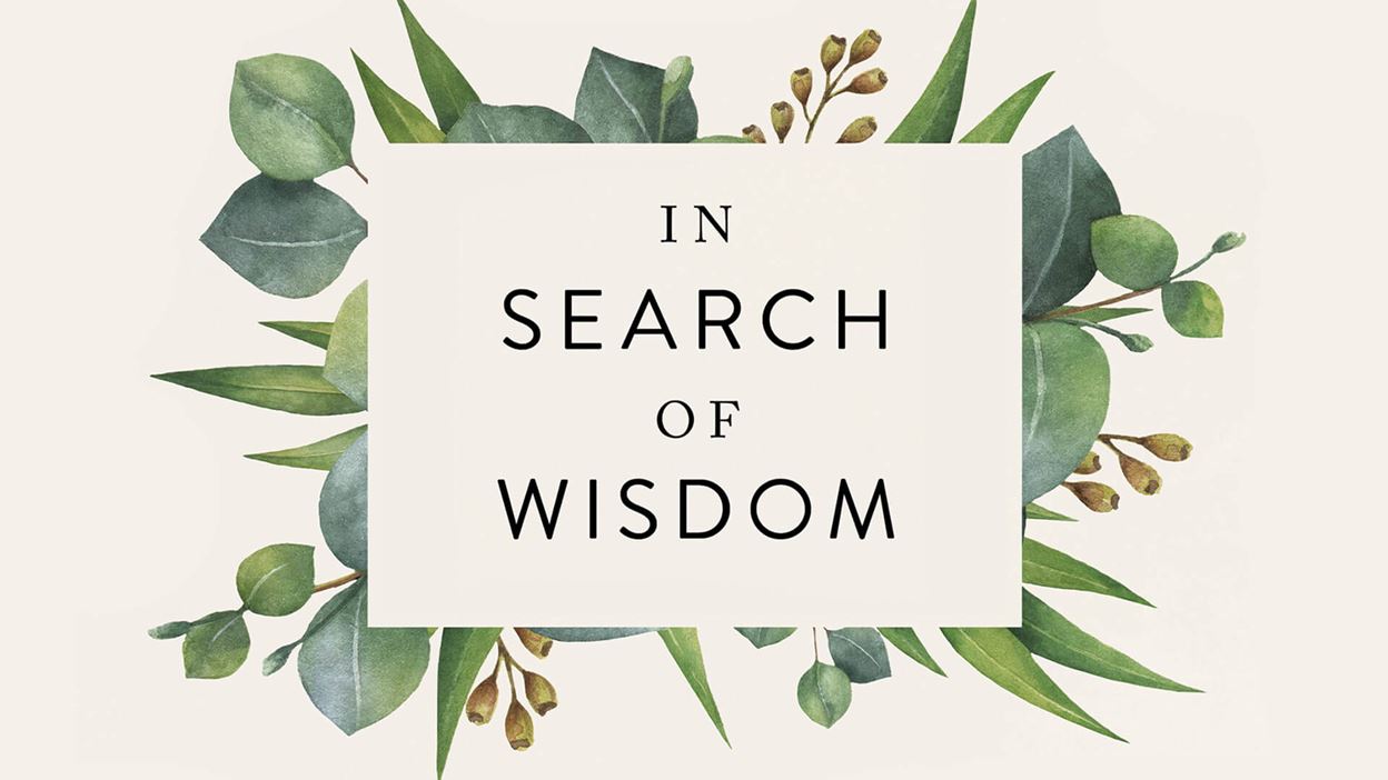 In Search of Wisdom