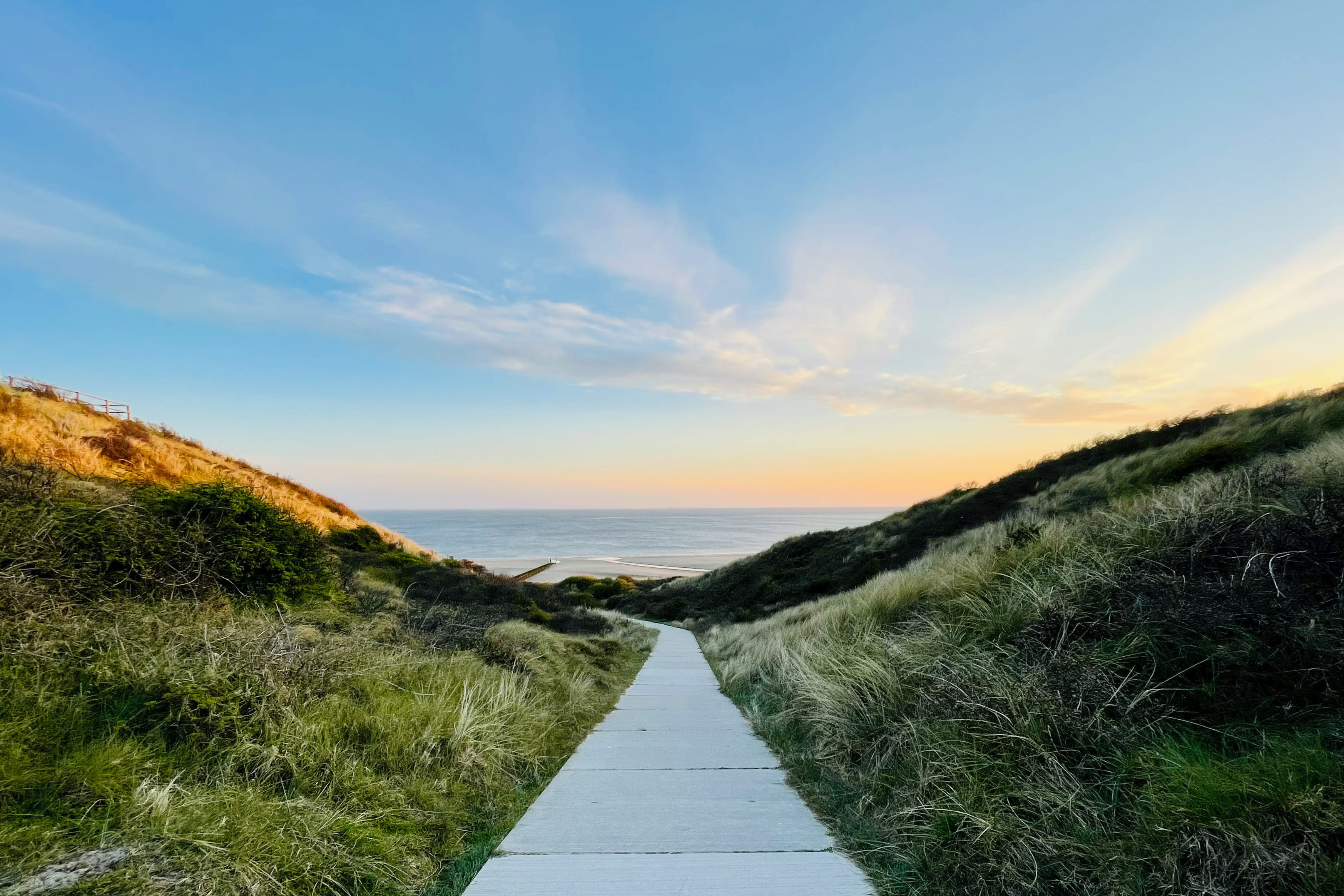 What is God's Will for Me? study