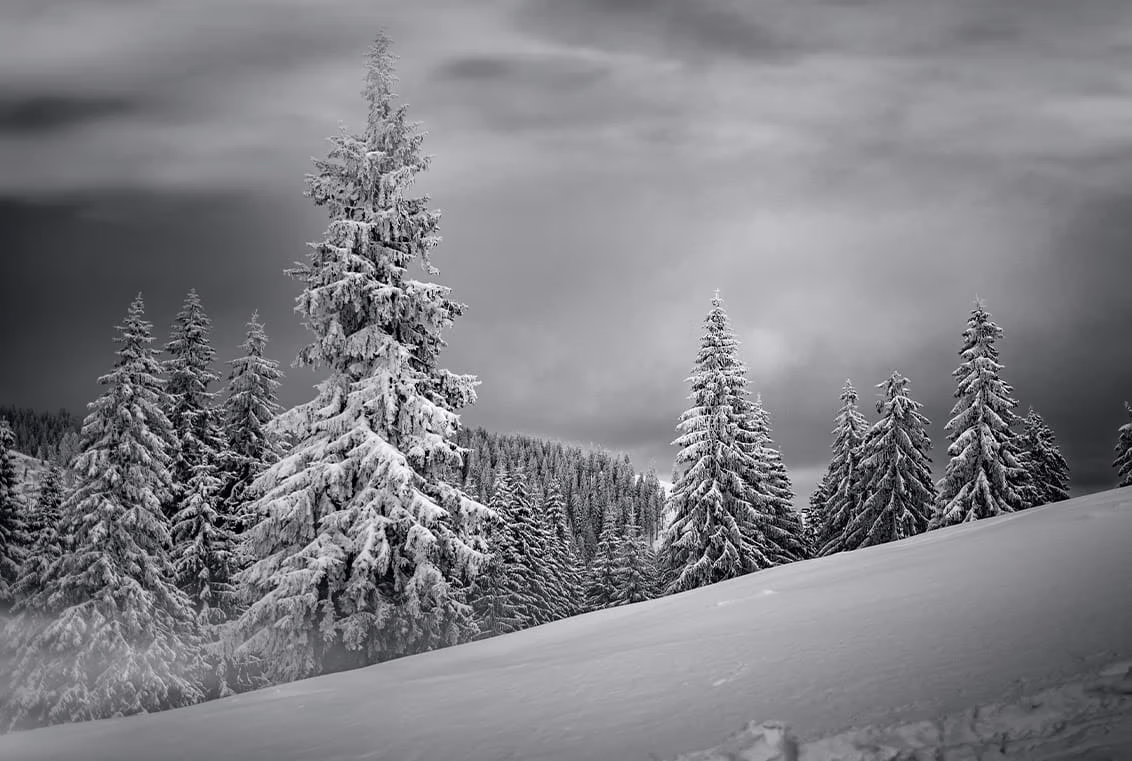 Enjoying Everyday Life