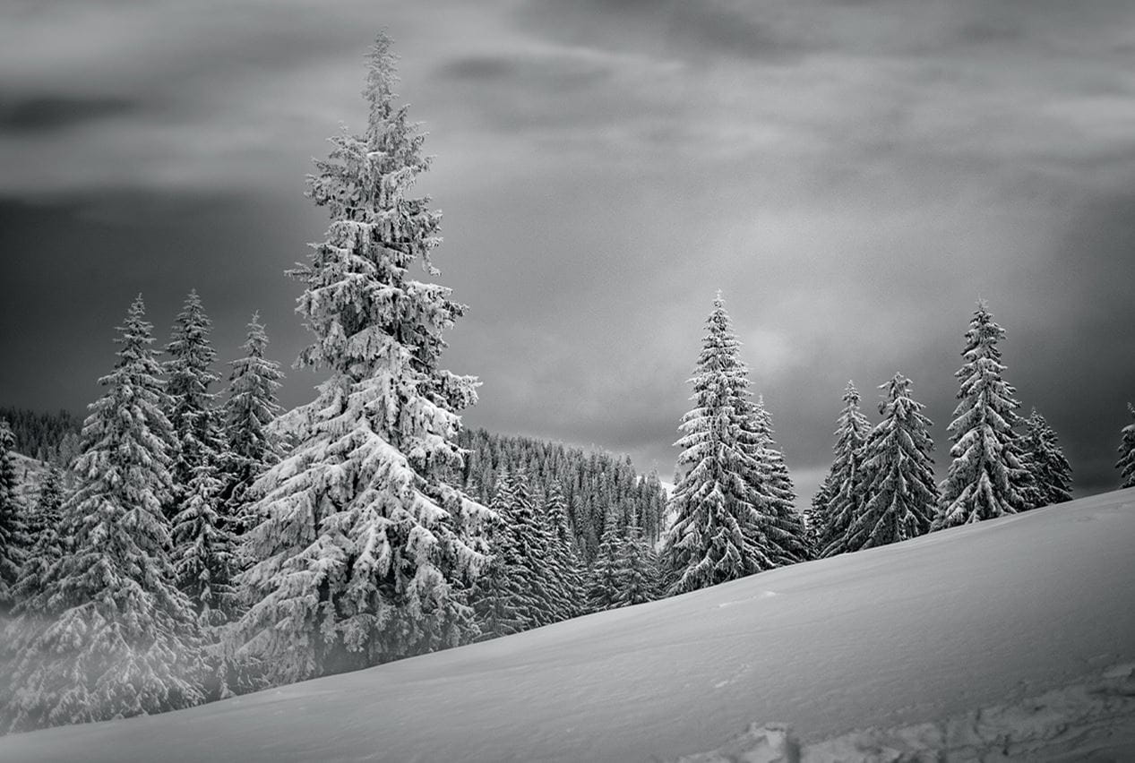 Enjoying Everyday Life