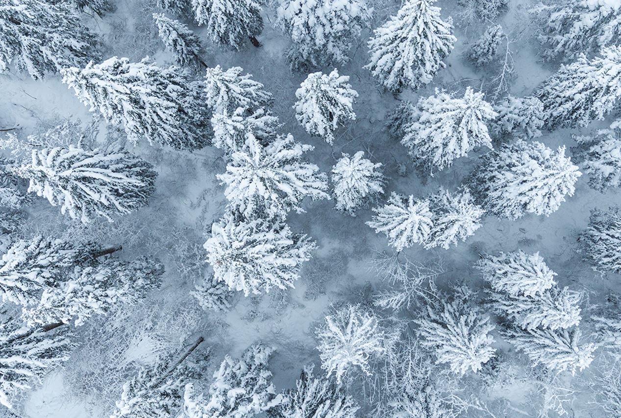 Enjoying Everyday Life