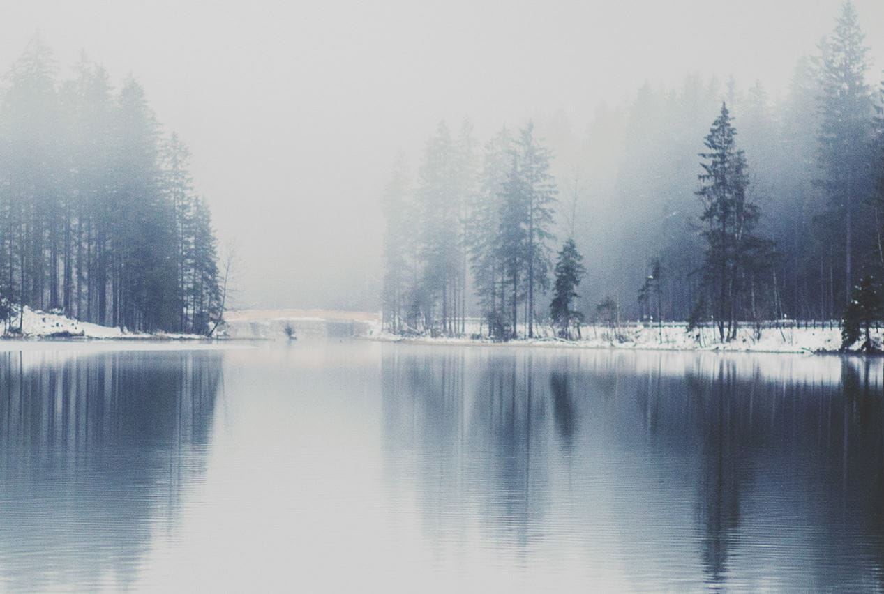 Enjoying Everyday Life